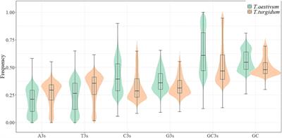 Comparative Analysis of Genomic and Transcriptome Sequences Reveals Divergent Patterns of <mark class="highlighted">Codon Bias</mark> in Wheat and Its Ancestor Species